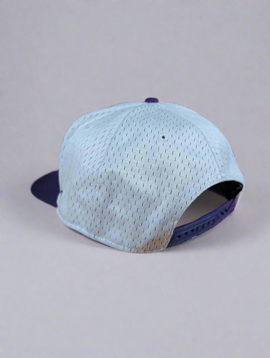 Arizona Diamondbacks snapback